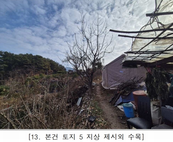 2025타경3998 대전광역시 중구 석교동 248-2 농지 경매 이미지