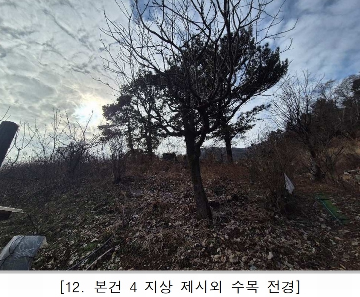 2025타경3998 대전광역시 중구 석교동 248-2 농지 경매 이미지
