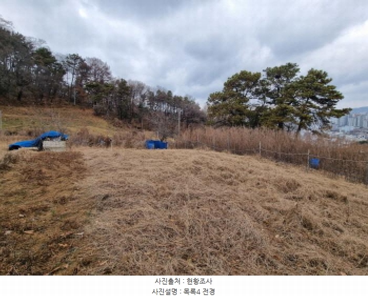 2025타경3998 대전광역시 중구 석교동 248-2 농지 경매 이미지