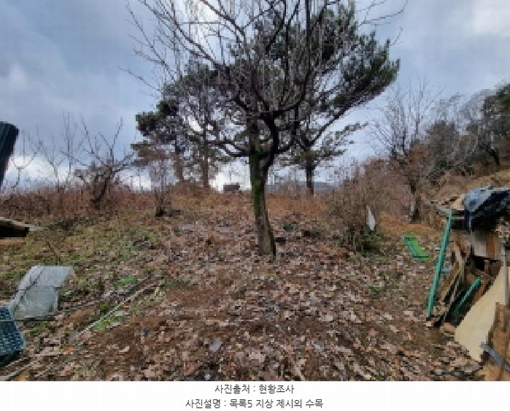 2025타경3998 대전광역시 중구 석교동 248-2 농지 경매 이미지