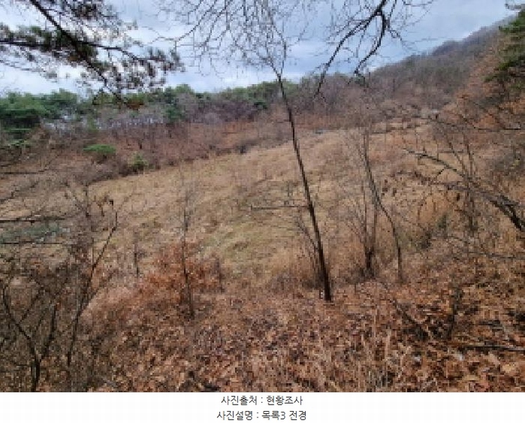 2025타경3998 대전광역시 중구 석교동 297 농지 경매 이미지