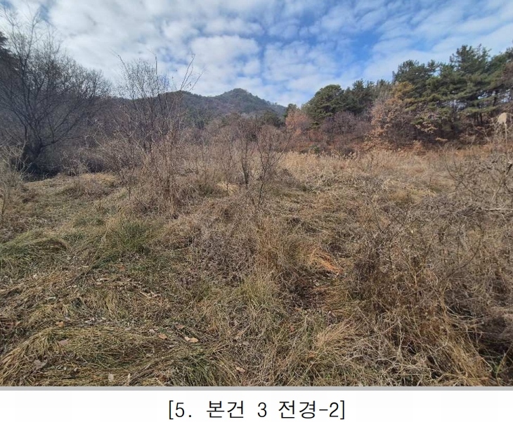 2025타경3998 대전광역시 중구 석교동 297 농지 경매 이미지