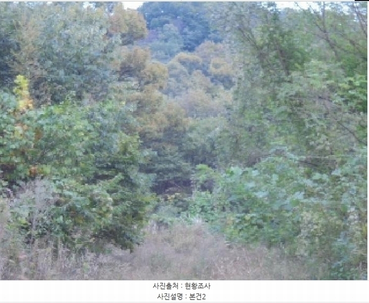 2025타경51876 충청북도 청주시 상당구 남일면 송암리 산24-40 임야 경매 이미지