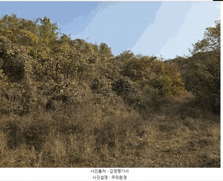 2025타경51876 충청북도 청주시 상당구 남일면 송암리 산24-40 임야 경매 이미지