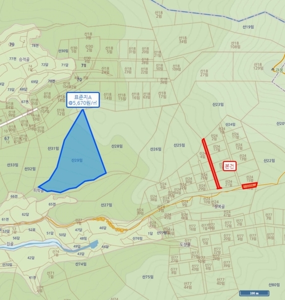 2025타경51876 충청북도 청주시 상당구 남일면 송암리 산24-40 임야 경매 이미지