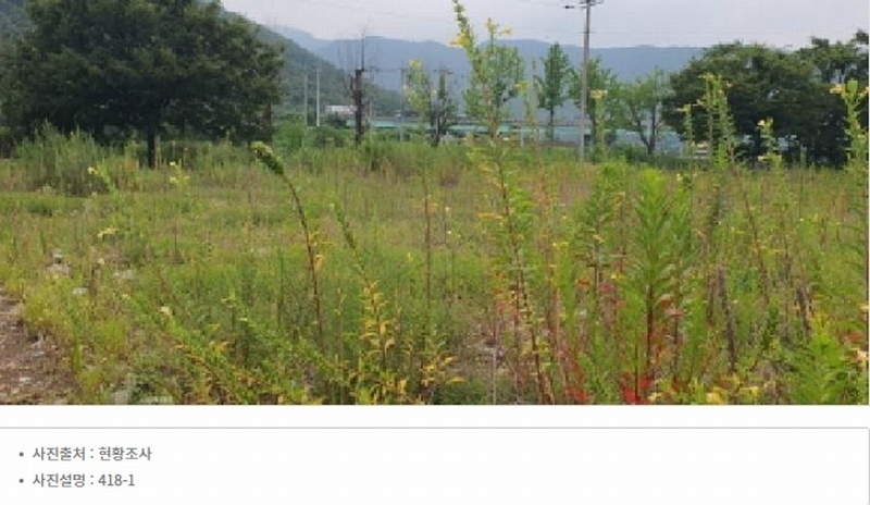 2025타경8237 경상북도 경산시 남천면 금곡리 418-1 도로 경매 이미지