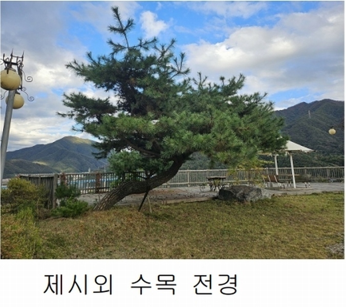 2024타경81135 경기도 가평군 청평면 대성리 88-7 근린주택 경매 이미지