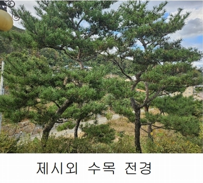 2024타경81135 경기도 가평군 청평면 대성리 88-7 근린주택 경매 이미지