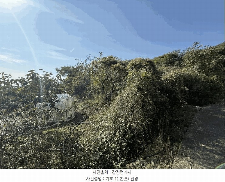 2025타경12317 경상남도 김해시 진영읍 신용리 426 과수원 경매 이미지