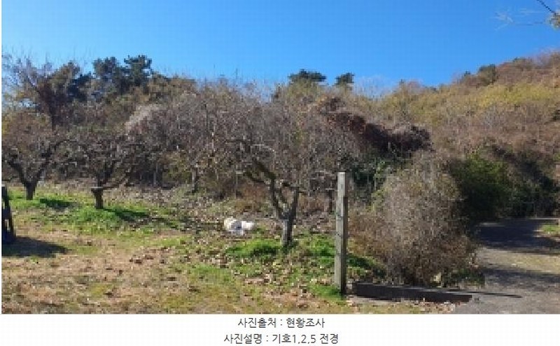 2025타경12317 경상남도 김해시 진영읍 신용리 426 과수원 경매 이미지