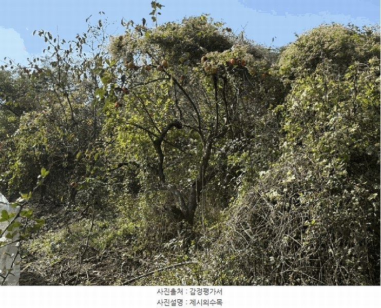 2025타경12317 경상남도 김해시 진영읍 신용리 426 과수원 경매 이미지