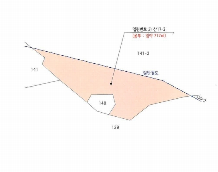 2025타경296 강원특별자치도 고성군 현내면 사천리 산17-2 임야 경매 이미지