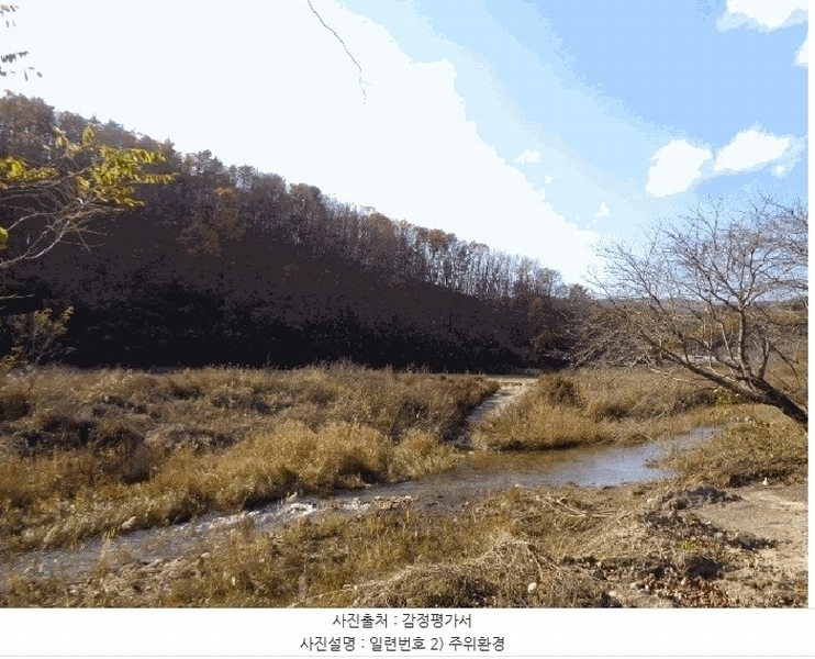 2025타경296 강원특별자치도 고성군 현내면 명파리 374-2 임야 경매 이미지