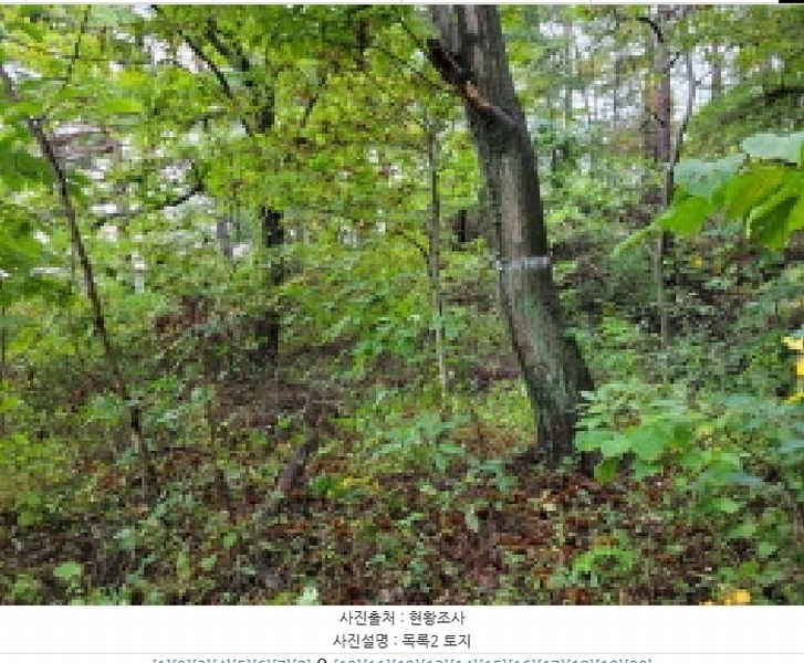 2025타경10376 강원특별자치도 양양군 현남면 견불리 112 농지 경매 이미지