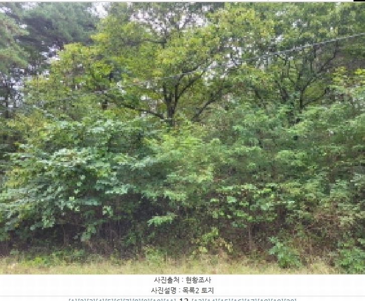 2025타경10376 강원특별자치도 양양군 현남면 견불리 112 농지 경매 이미지