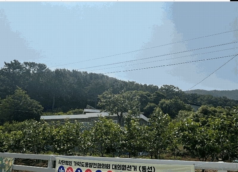 2025타경101442 부산광역시 강서구 동선동 산11 임야 경매 이미지