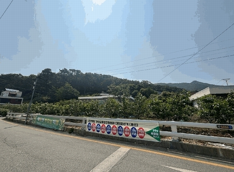 2025타경101442 부산광역시 강서구 동선동 179 대지 경매 이미지
