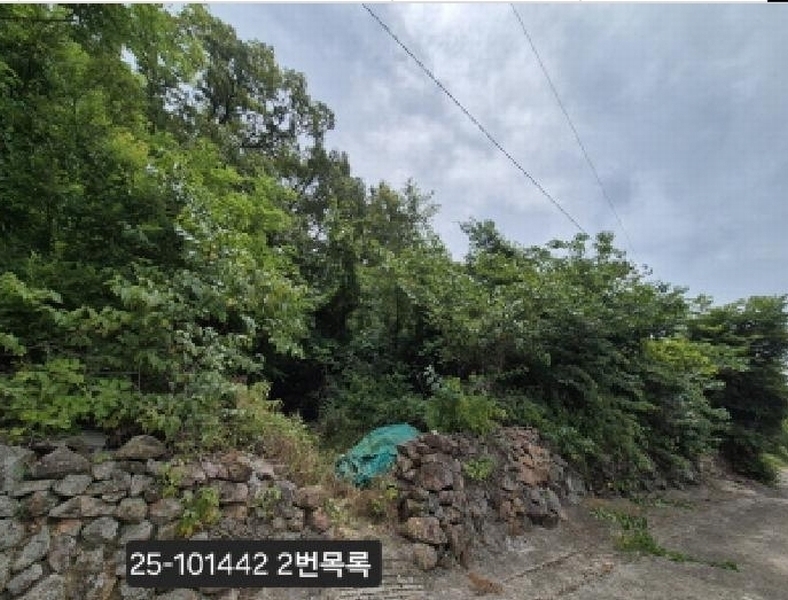 2025타경101442 부산광역시 강서구 동선동 179 대지 경매 이미지
