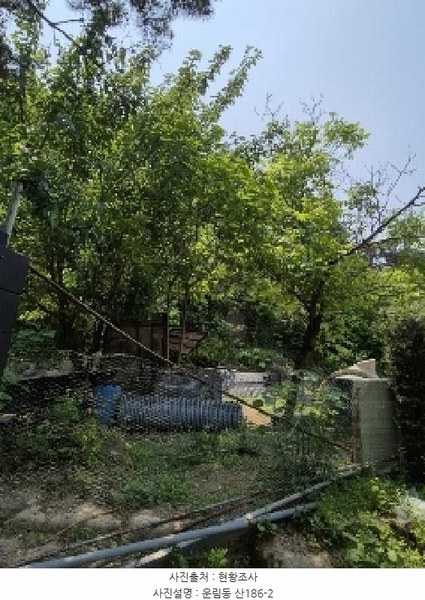 2025타경32783 광주광역시 동구 운림동 산186-2 임야 경매 이미지