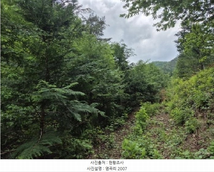 2025타경32723 전라남도 곡성군 석곡면 염곡리 2007 농지 경매 이미지