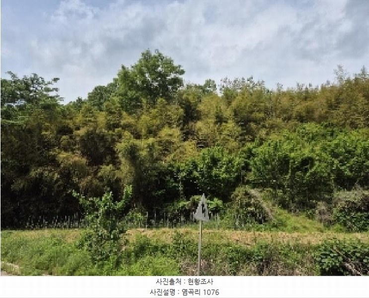 2025타경32723 전라남도 곡성군 석곡면 염곡리 1076 대지 경매 이미지