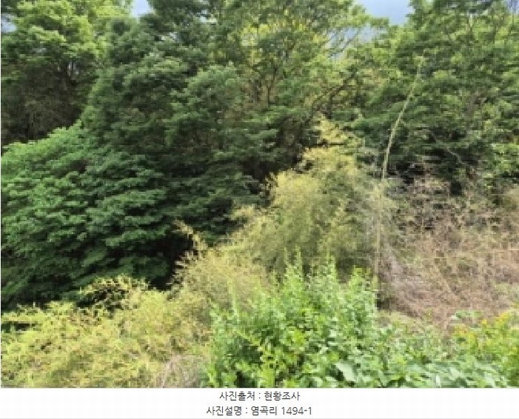 2025타경32723 전라남도 곡성군 석곡면 염곡리 1494-1 대지 경매 이미지
