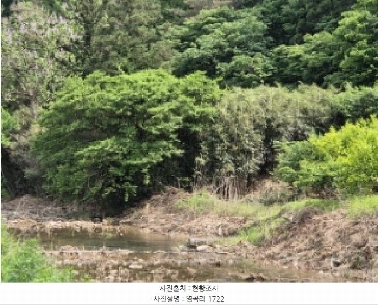 2025타경32723 전라남도 곡성군 석곡면 염곡리 1722 농지 경매 이미지