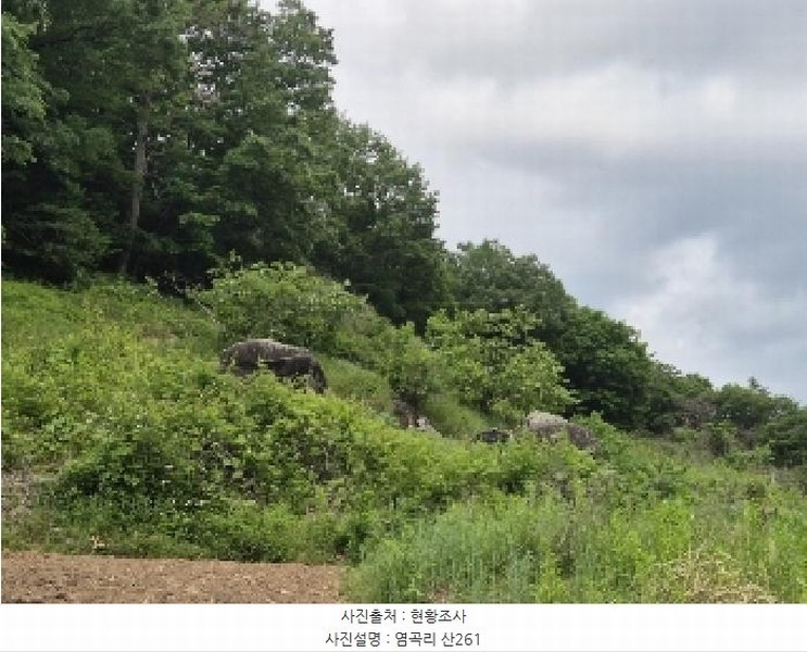 2025타경32723 전라남도 곡성군 석곡면 염곡리 산261 임야 경매 이미지