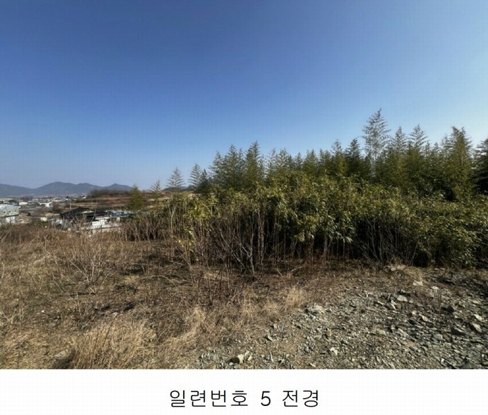 2025타경20413 경상남도 함안군 칠서면 용성리 751 농지 경매 이미지