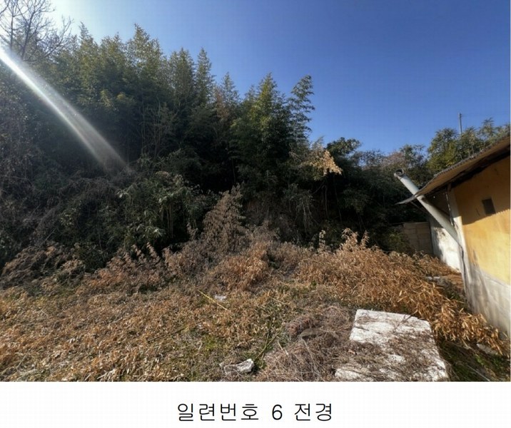 2025타경20413 경상남도 함안군 칠서면 용성리 751 농지 경매 이미지