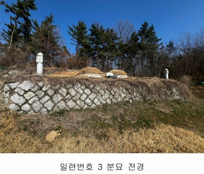 2025타경20413 경상남도 함안군 칠서면 용성리 455 농지 경매 이미지