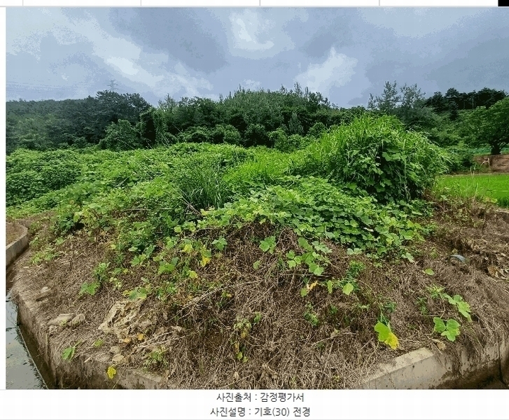 2025타경972 경상북도 칠곡군 가산면 송학리 832-1 농지 경매 이미지