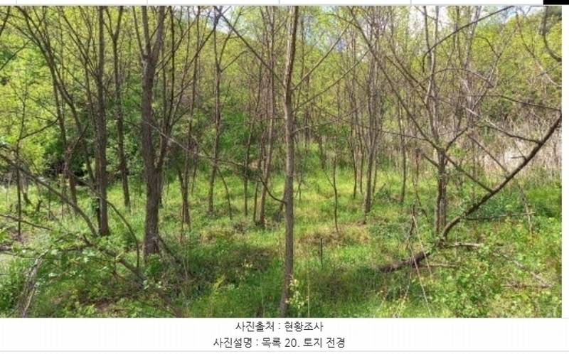 2024타경76337 강원특별자치도 철원군 철원읍 월하리 91-6 공장 경매 이미지