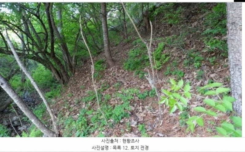 2024타경76337 강원특별자치도 철원군 철원읍 월하리 91-6 공장 경매 이미지