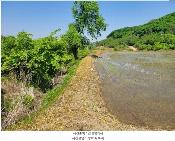 2024타경76337 강원특별자치도 철원군 철원읍 월하리 91-6 공장 경매 이미지