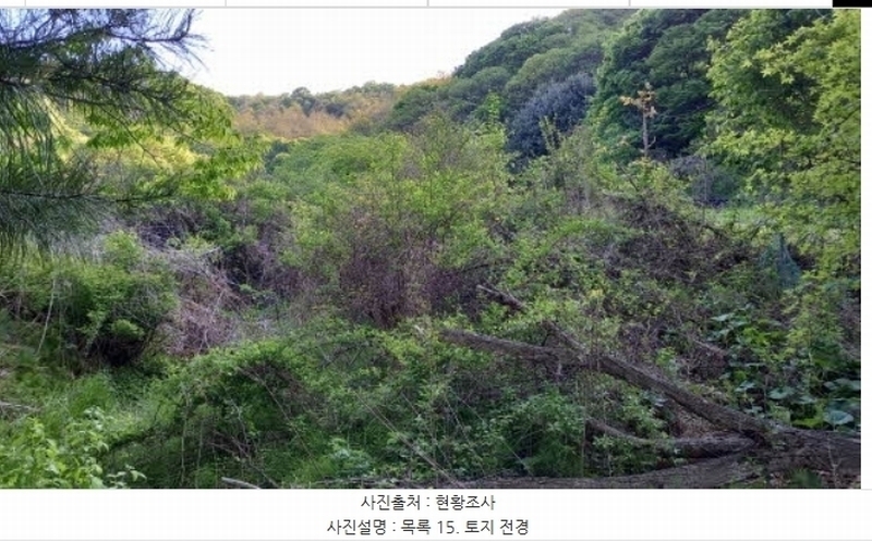 2024타경76337 강원특별자치도 철원군 철원읍 월하리 91-6 공장 경매 이미지