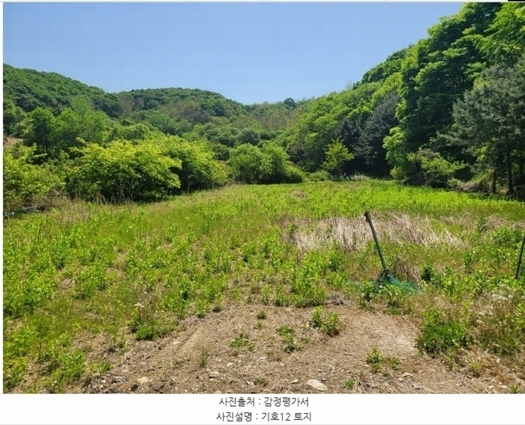 2024타경76337 강원특별자치도 철원군 철원읍 월하리 91-6 공장 경매 이미지