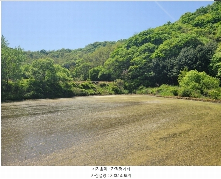 2024타경76337 강원특별자치도 철원군 철원읍 월하리 91-6 공장 경매 이미지