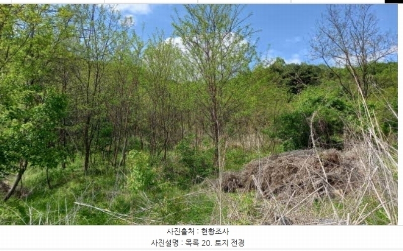 2024타경76337 강원특별자치도 철원군 철원읍 월하리 91-6 공장 경매 이미지