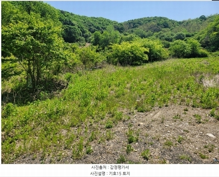2024타경76337 강원특별자치도 철원군 철원읍 월하리 91-6 공장 경매 이미지
