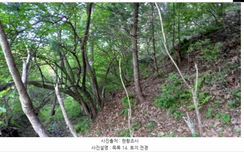 2024타경76337 강원특별자치도 철원군 철원읍 월하리 91-6 공장 경매 이미지