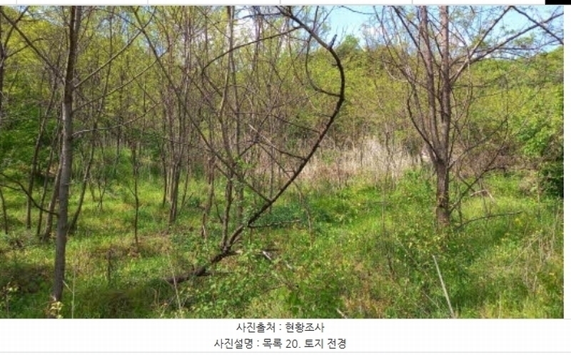 2024타경76337 강원특별자치도 철원군 철원읍 월하리 91-6 공장 경매 이미지