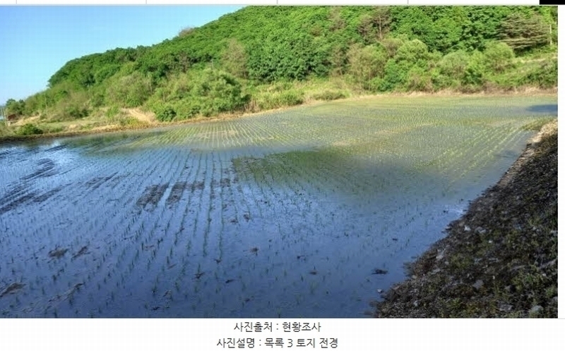 2024타경76337 강원특별자치도 철원군 철원읍 대마리 278 농지 경매 이미지