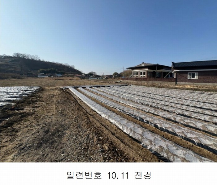 2025타경20413 경상남도 함안군 칠서면 용성리 645 농지 경매 이미지