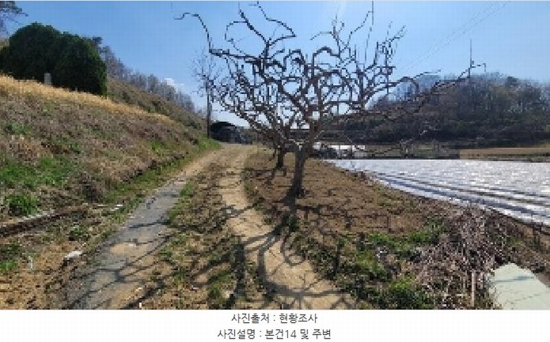 2025타경20413 경상남도 함안군 칠서면 용성리 645 농지 경매 이미지
