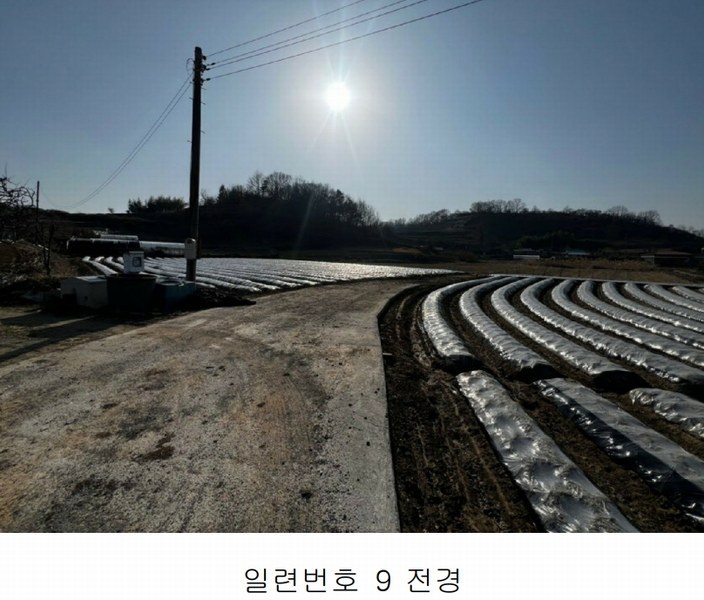 2025타경20413 경상남도 함안군 칠서면 용성리 645 농지 경매 이미지