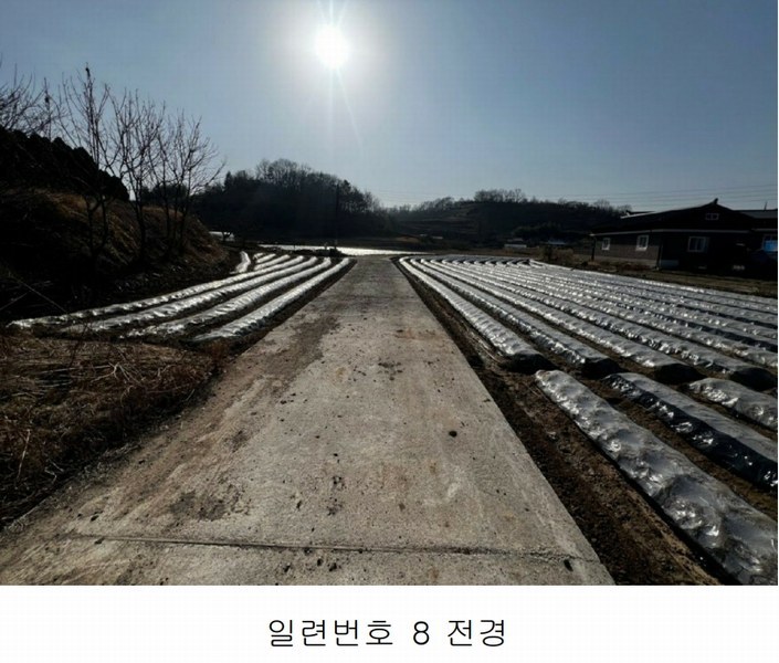 2025타경20413 경상남도 함안군 칠서면 용성리 645 농지 경매 이미지