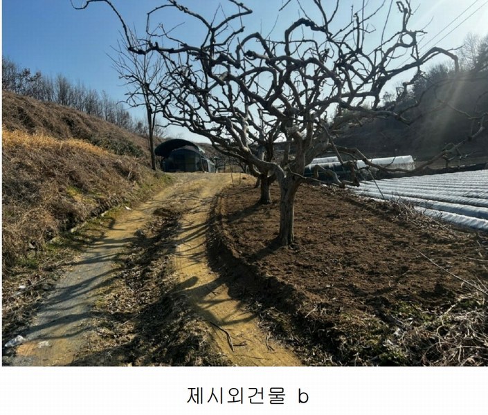 2025타경20413 경상남도 함안군 칠서면 용성리 645 농지 경매 이미지