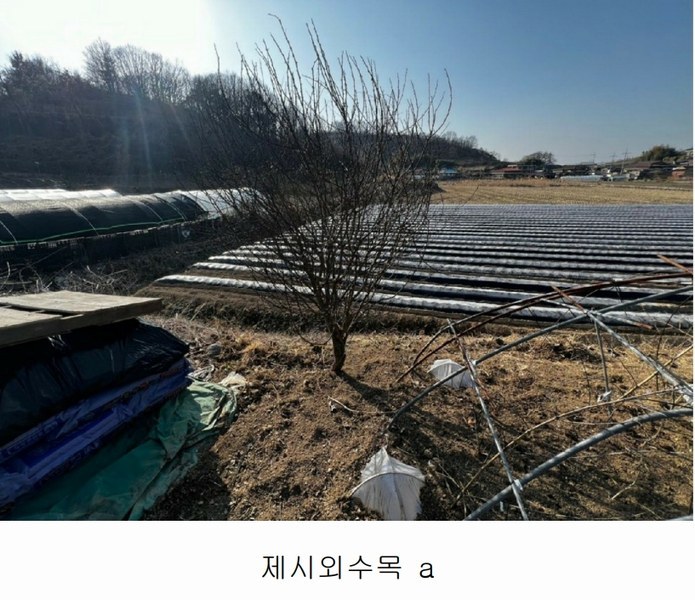 2025타경20413 경상남도 함안군 칠서면 용성리 645 농지 경매 이미지