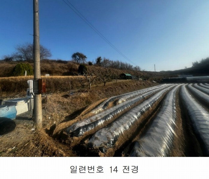2025타경20413 경상남도 함안군 칠서면 용성리 645 농지 경매 이미지